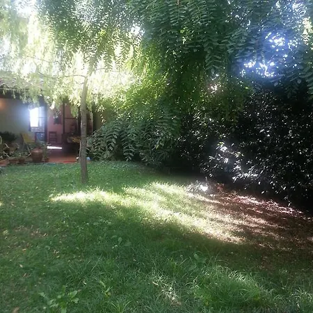 Vacanze Odifredi